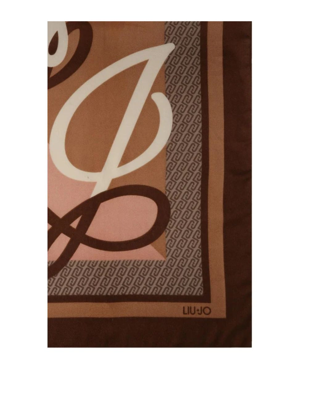 MAXI LOGO 