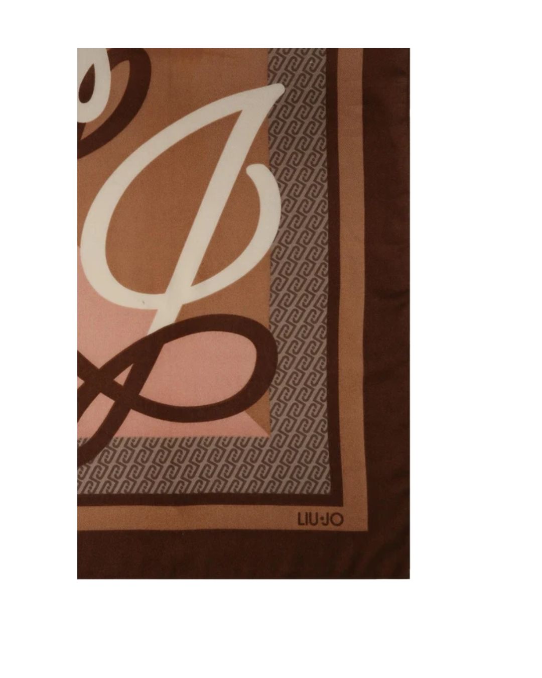MAXI LOGO 