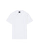 SCOLLO V PATCH
